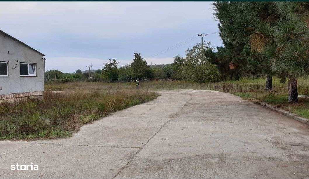 Vând hală cu teren și platformă betonată în Murfatlar - Imagine principală: 4/7
