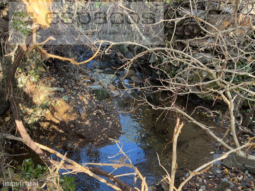 Quinta - Grande imagem: 5/24