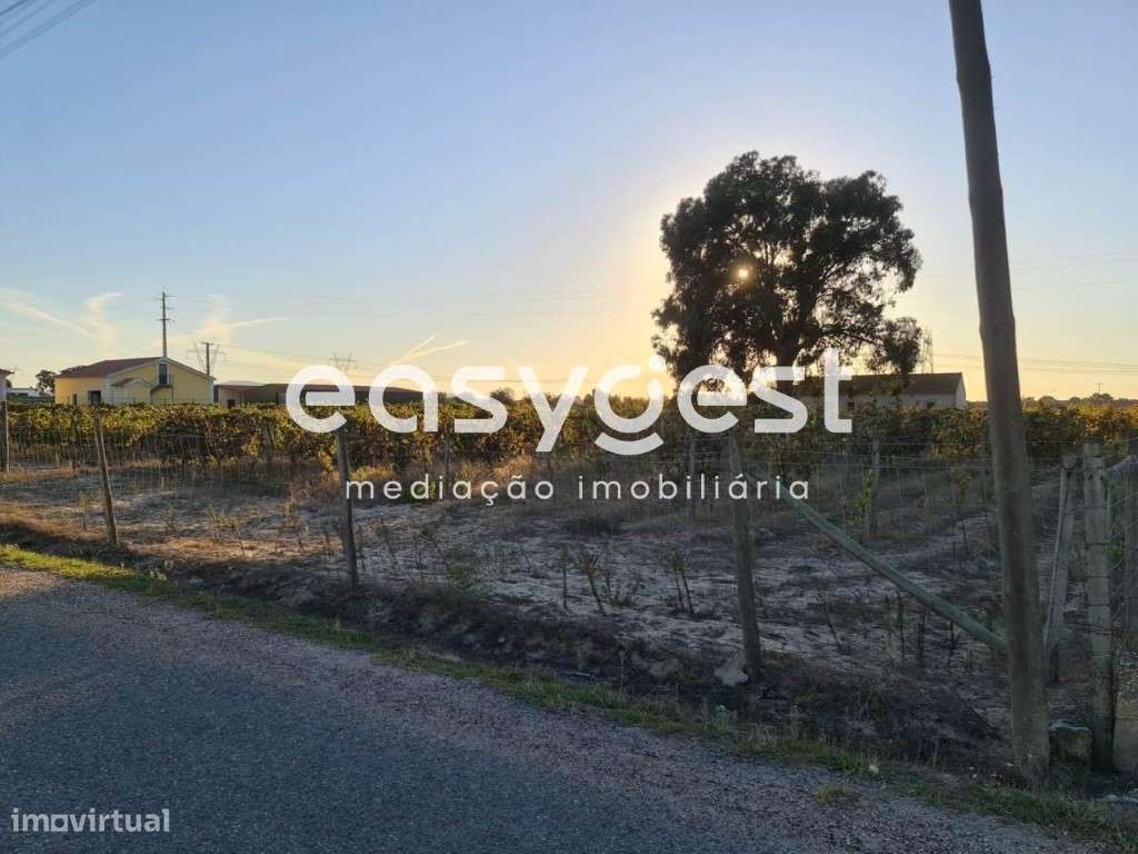 Terreno misto com 8700m2, com vinha, localizado no Pinhal Novo - Grande imagem: 4/10