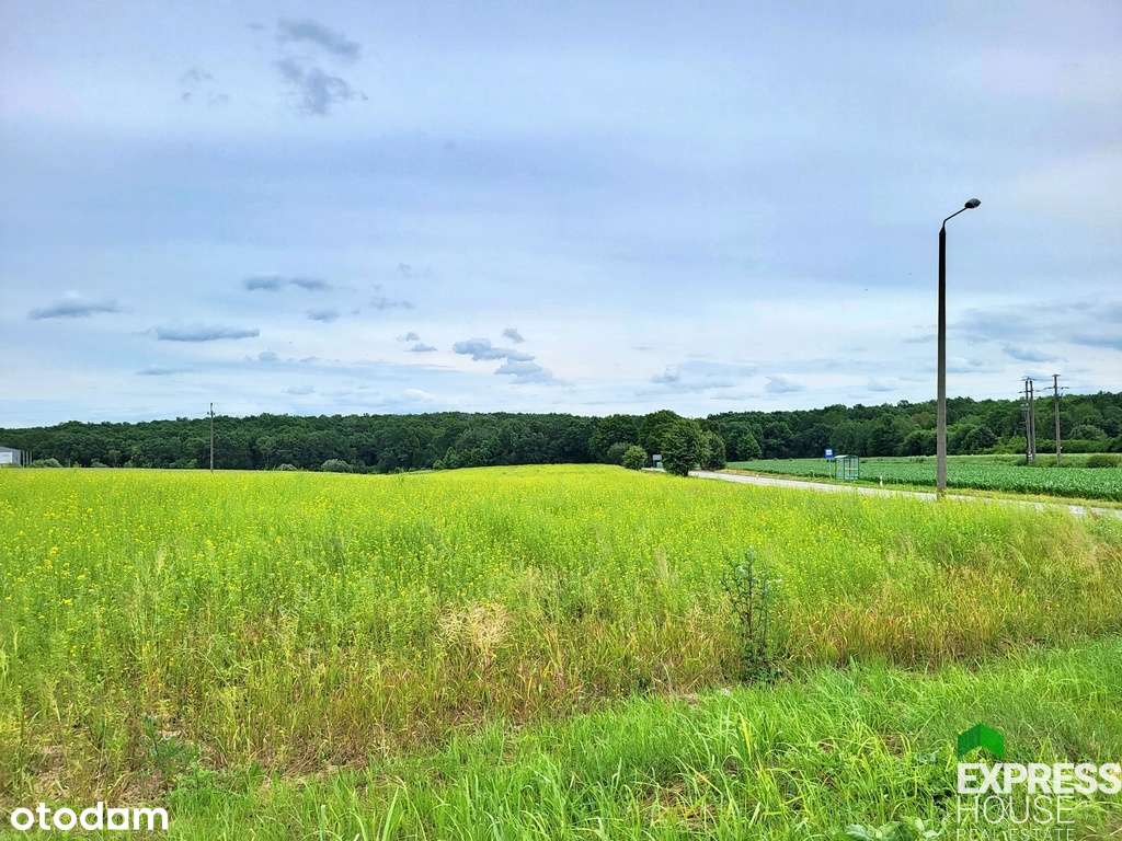 Działka, inwestycja, 2,17ha, rm/U, rolna - Pełny obrazek: 4/7