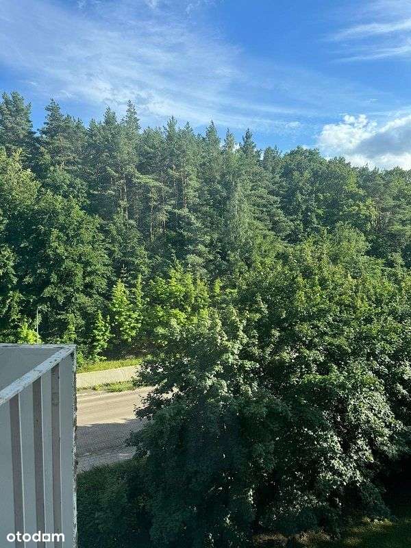 Mieszkanie pod inwestycje w Gdyni-3