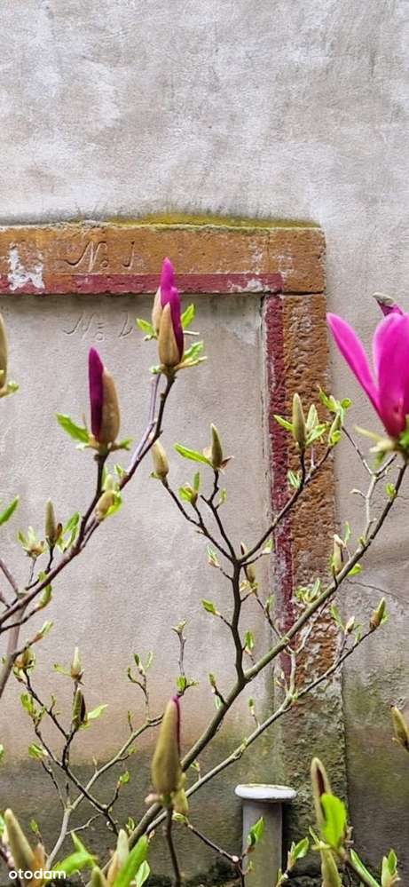 Spokojne miejsce pod agroturystykę-10