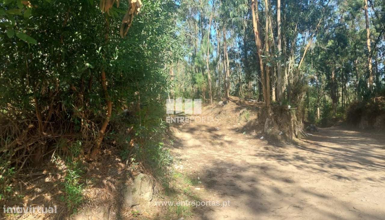 Venda de Terreno com 10.000 m2, Tougues, Vila do Conde - Grande imagem: 2/14