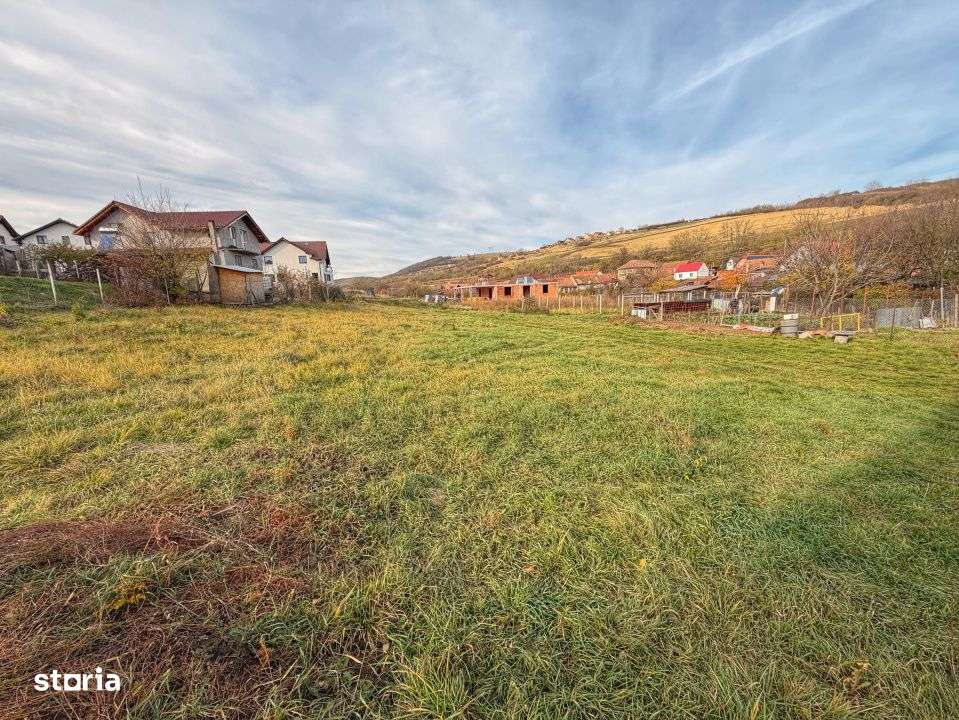 Terenuri Intravilane 600-700 Mp-Sura Mare-1