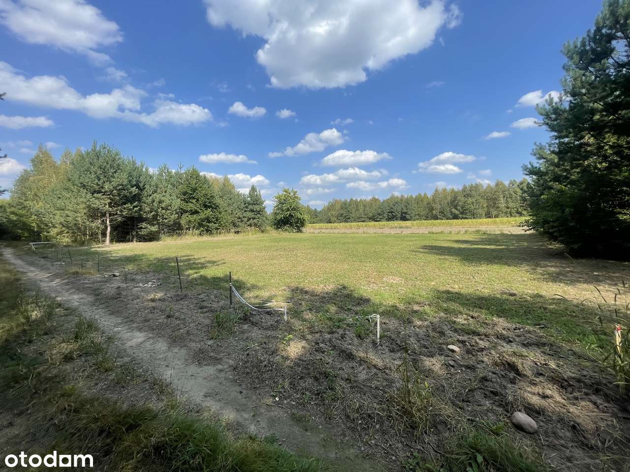 Zadbana Działka w Rosanowie