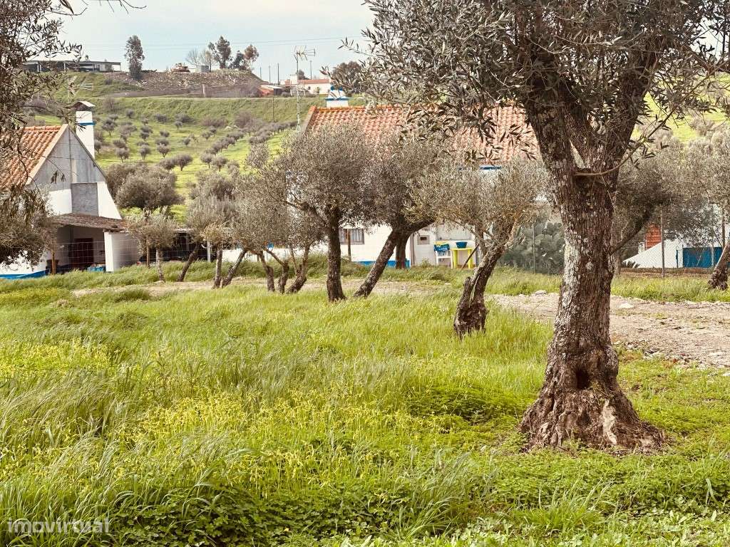 Moradia T2, inserida em lote com 1125 m2 com piscina, em Santiago M...-28