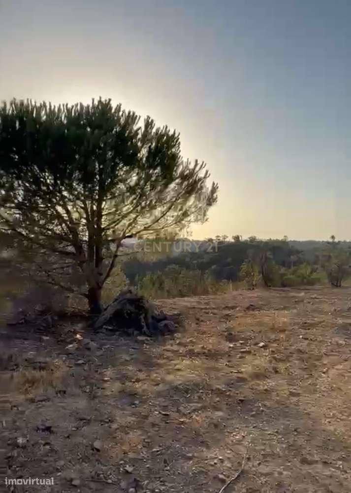 Terreno em Pé de Erva, com Ruína e Potencial de Construção, a 10 min-12