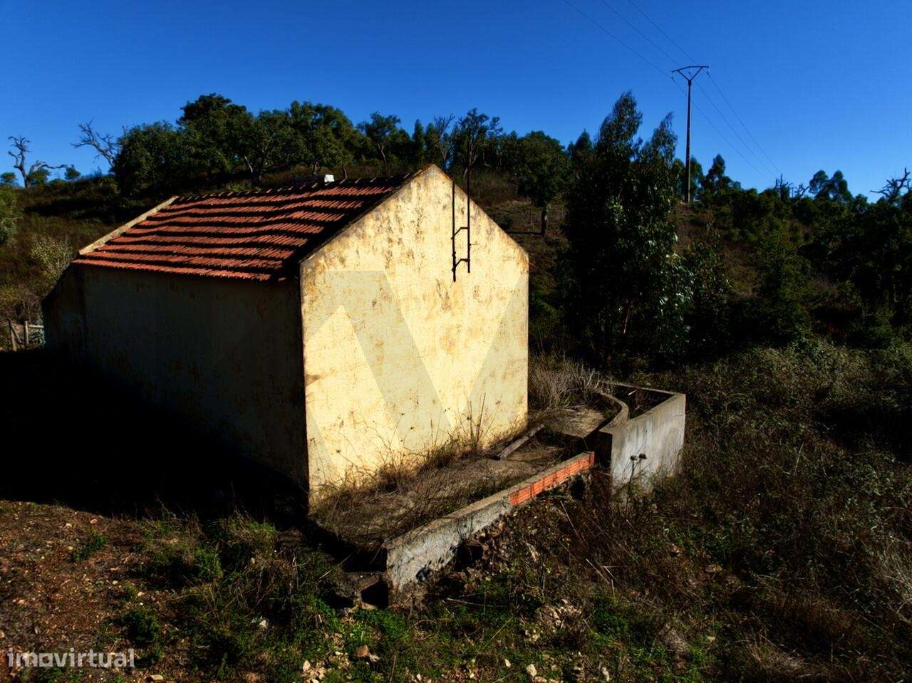 Monte da Figueirinha Nova com 3 ha e habitação em S. Bartolomeu da Ser - Grande imagem: 5/17