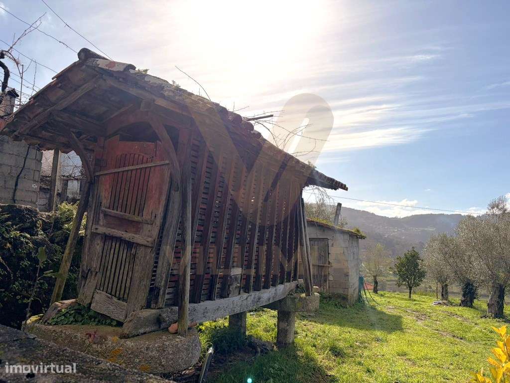 Propriedade com Casa Antiga T3 para Restauro - Beiral do Lima-21