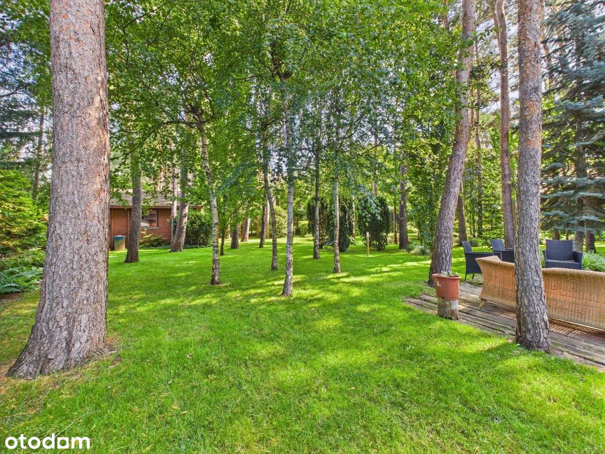 Nietuzinkowa, Absolutnie WyjĄtkowa Lokalizacja-2