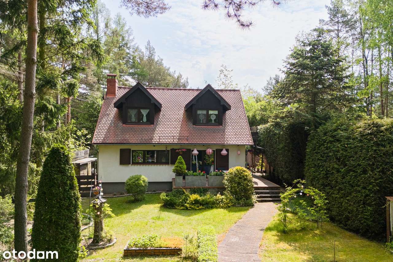 Piękny dom pośród lasu-3