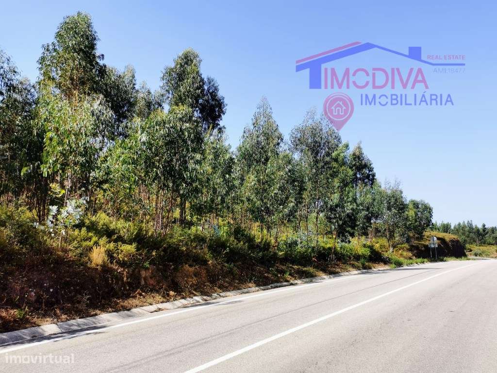 Terreno rústico com fácil acesso em Outão, Pedrogão Grande - Grande imagem: 2/8