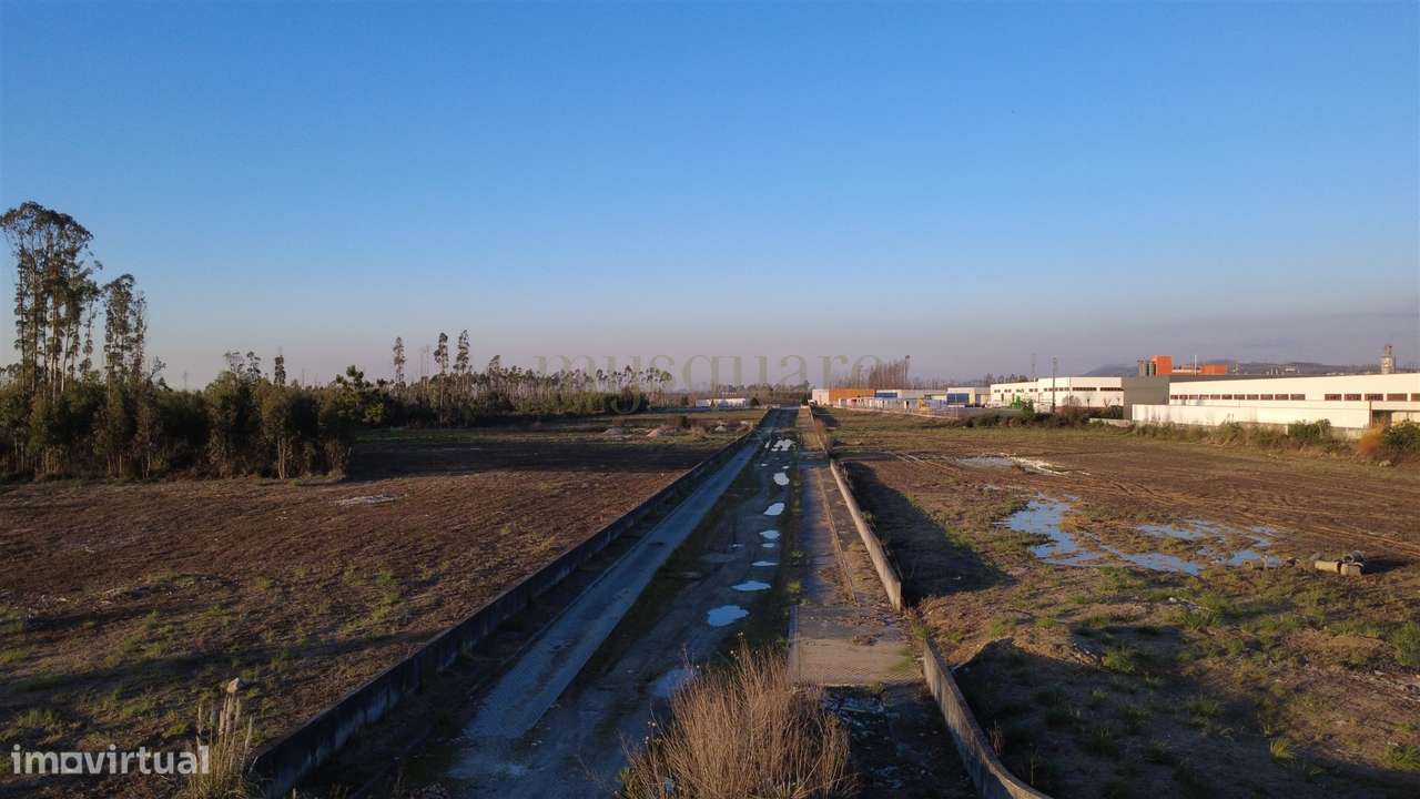 Terreno Industrial para Venda – Zona Industrial de Albergaria-a-Velha-12