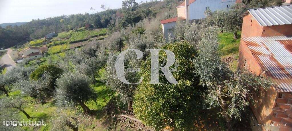 Moradia T3 com vários anexos, terreno e poço-42