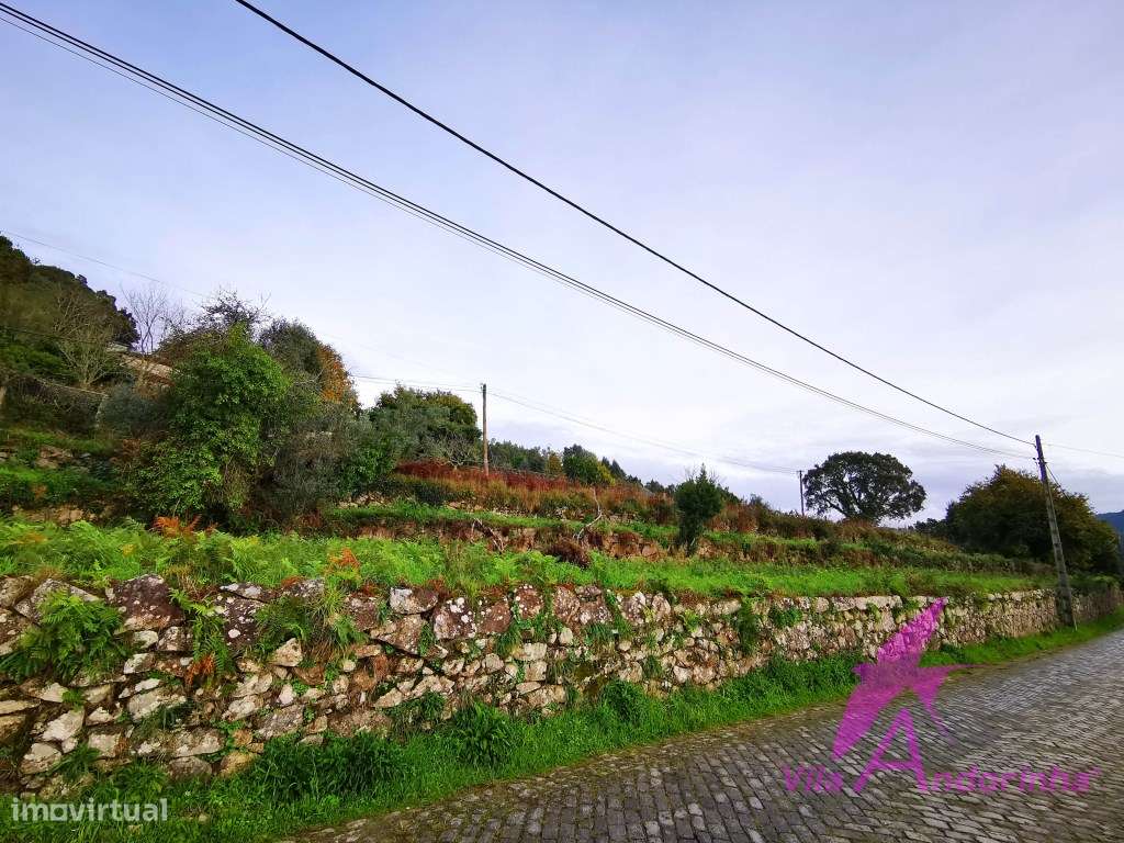 Terreno para construção de uma ou duas moradias térreas.-14