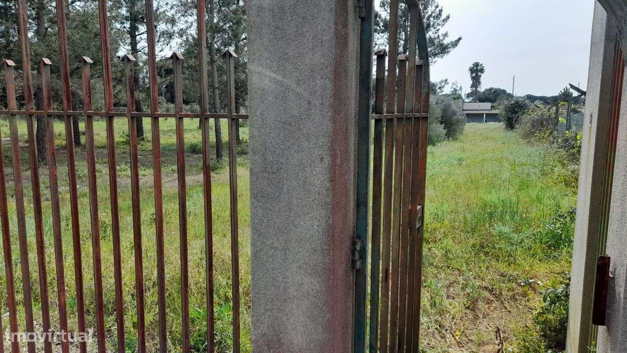 Setúbal/Padeiras Quinta 5000m2 para moradia.-15