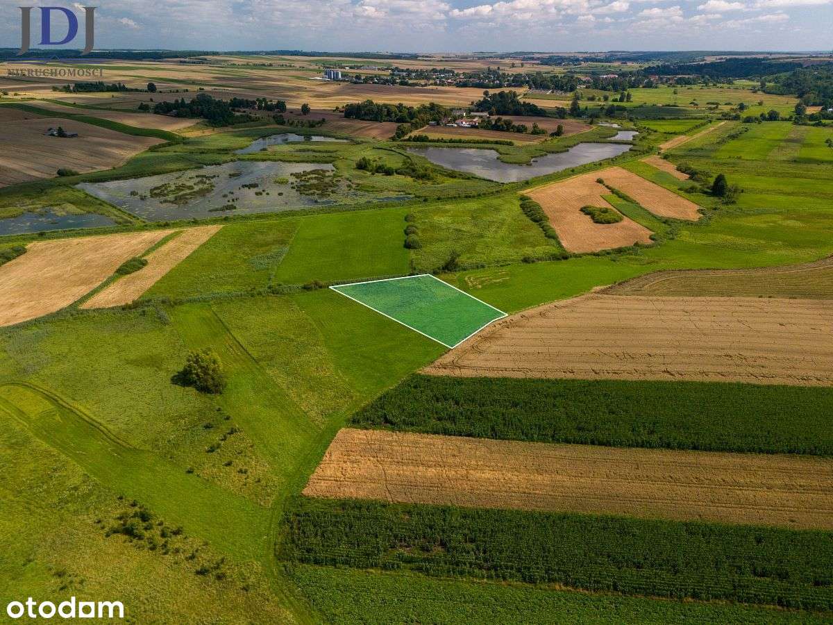 Działka łąka 39 ar.Rogów.Grabowiec - Pełny obrazek: 4/7