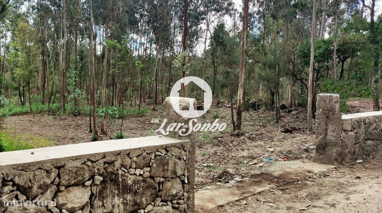 Terreno para construção em Barcelos - Grande imagem: 4/20