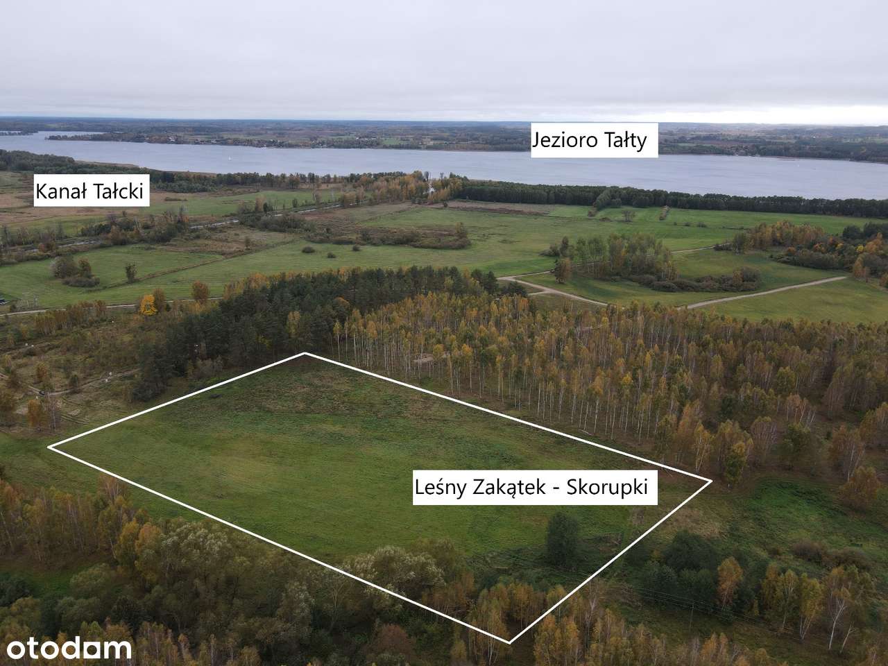 Leśny Zakątek Skorupki - działka pod lasem - SWJM - odlicz VAT 23%-4