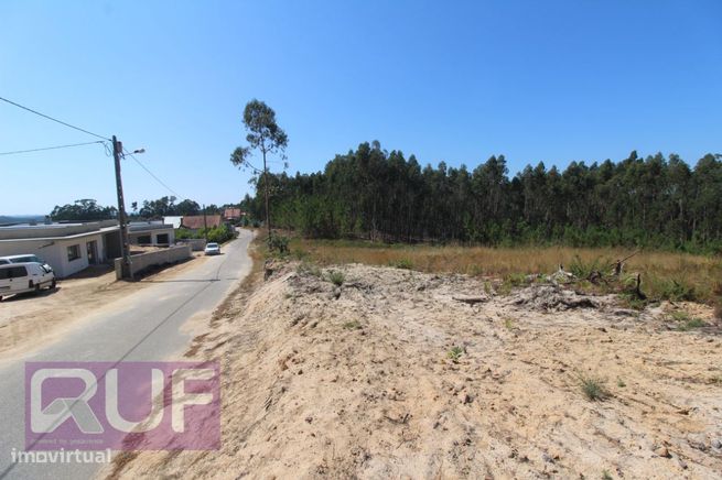 Lote de Terreno com projeto para moradia V4 em Souto da Carpalhosa ...-11