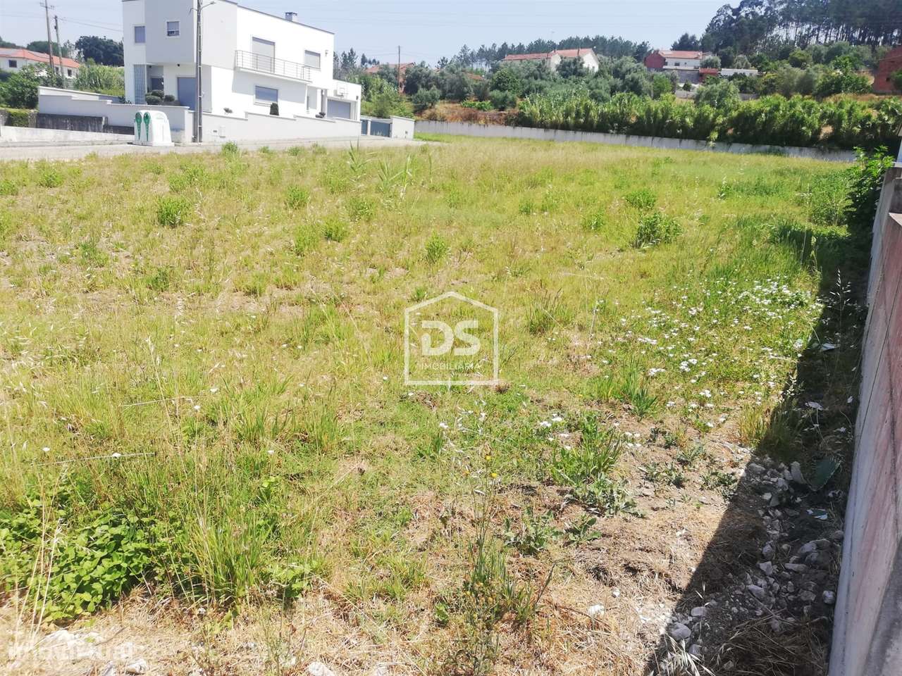 Terreno para construção em Colmeias - Grande imagem: 2/4