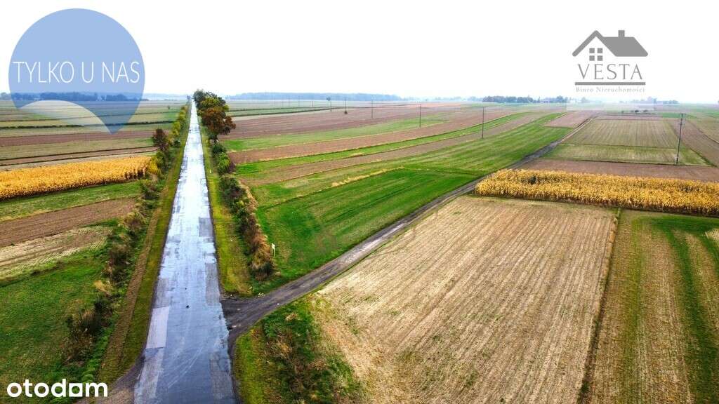 Działka budowlana blisko Bełżyc, Jaroszewice - Pełny obrazek: 4/7