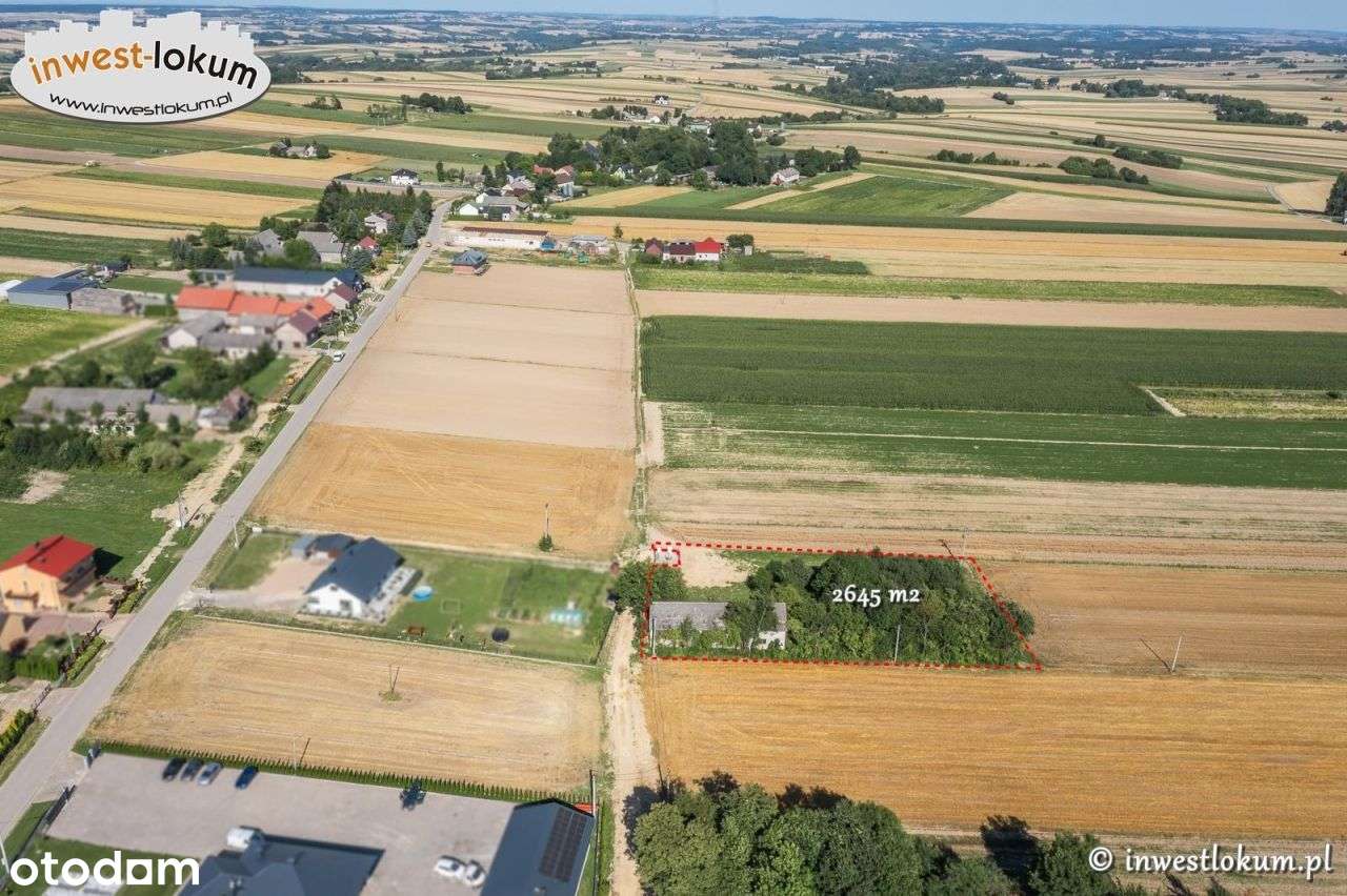 Działka, 2 645 m², Buk-0