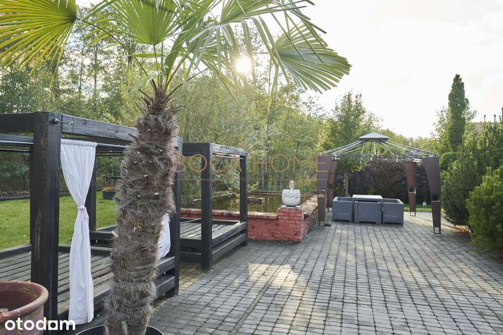 Obiekt na Mazurach z linią brzegową jeziora Roś - Pełny obrazek: 5/20