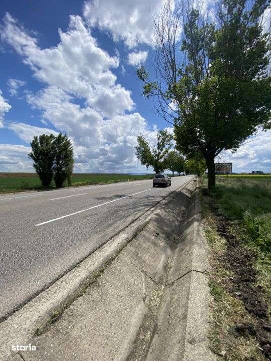 Teren extravilan, zona Itesti, 8800 mp - Imagine principală: 3/4