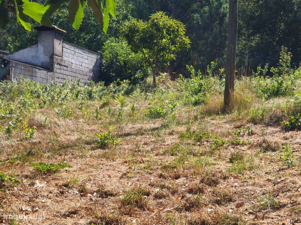 Prédio rústico em zona de construção-12