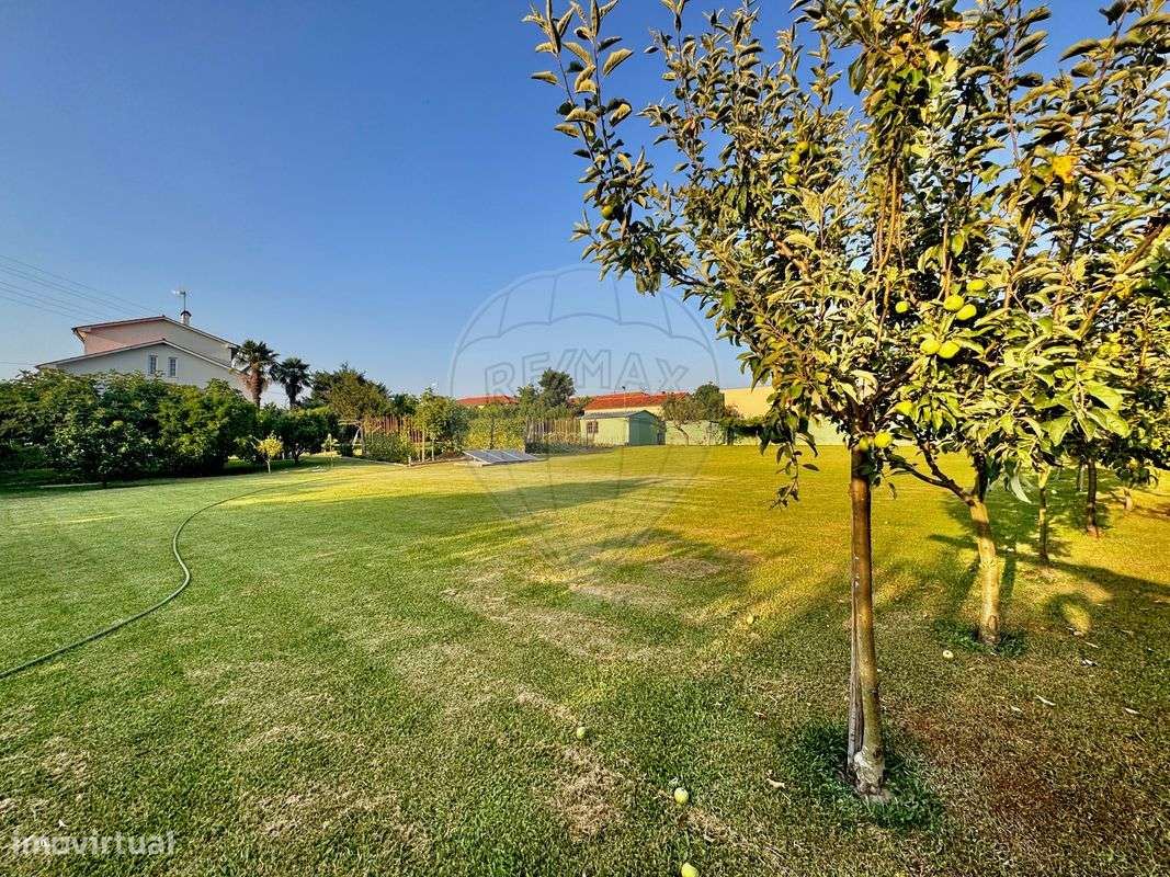 Moradia T5 para venda - Grande imagem: 3/24