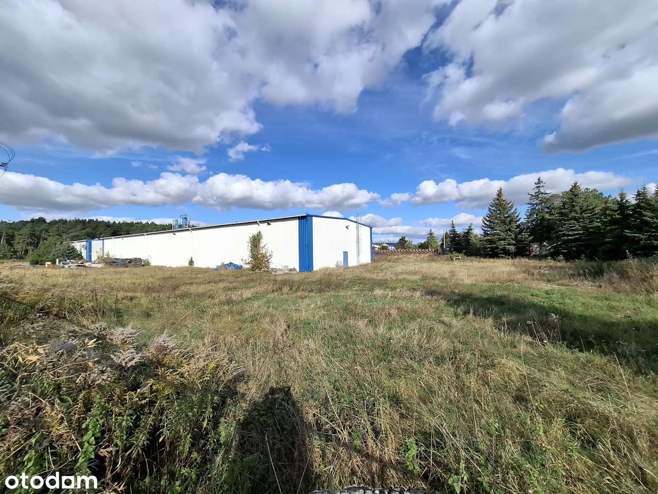 hale produkcyjne i magazyny w Dzierżowie obok Gorzowa Wielkopolskiego-11