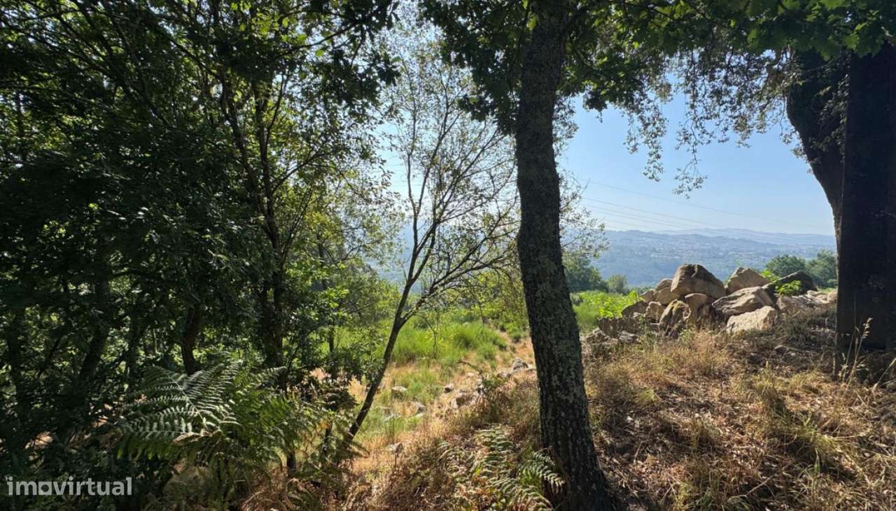 Venda Terreno, Boelhe, Penafiel-11