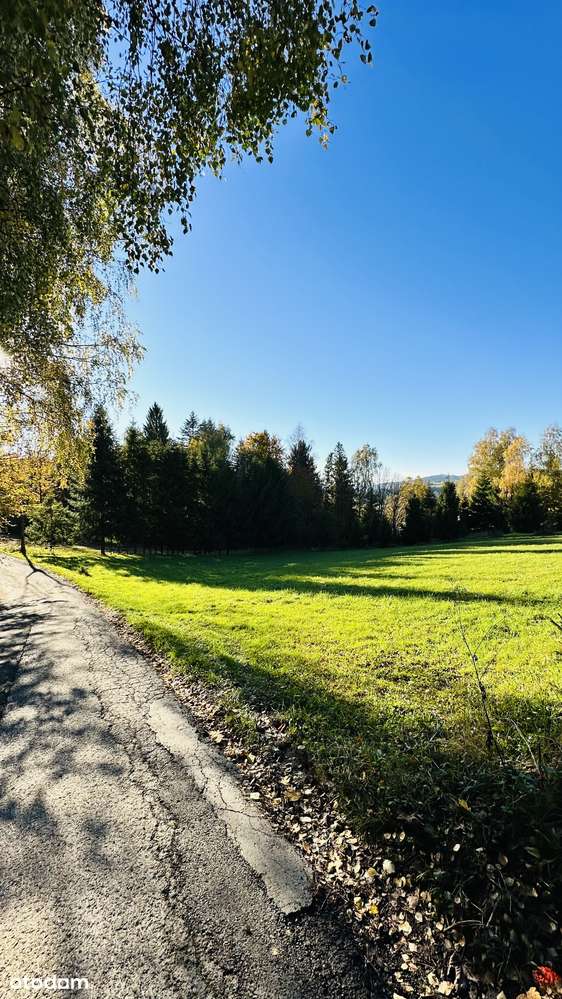 10 ar* BUDOWLANA* Przy LESIE* W GÓRACH* CICHO-1