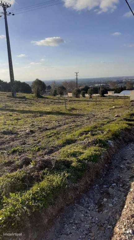 Azeitão Terreno 65000 M2 bom para plantação vinha. - Grande imagem: 4/10
