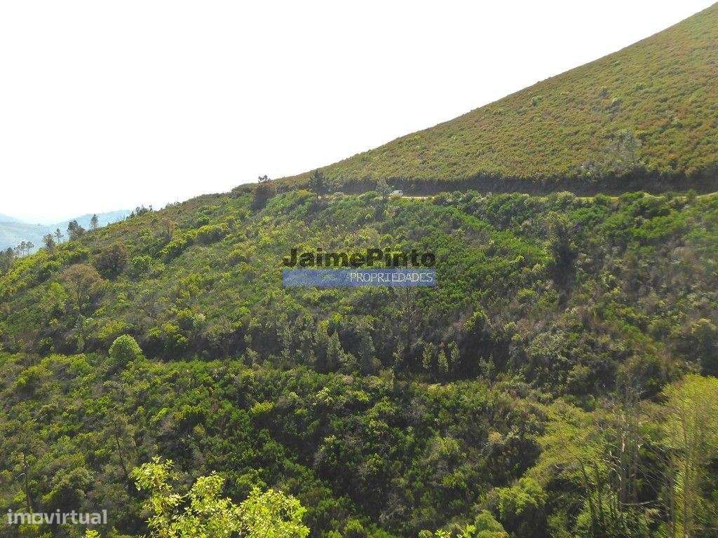 29.000m2 de terreno rústico p/ plantações novas. Portugal, Sabrosa,... - Grande imagem: 4/7