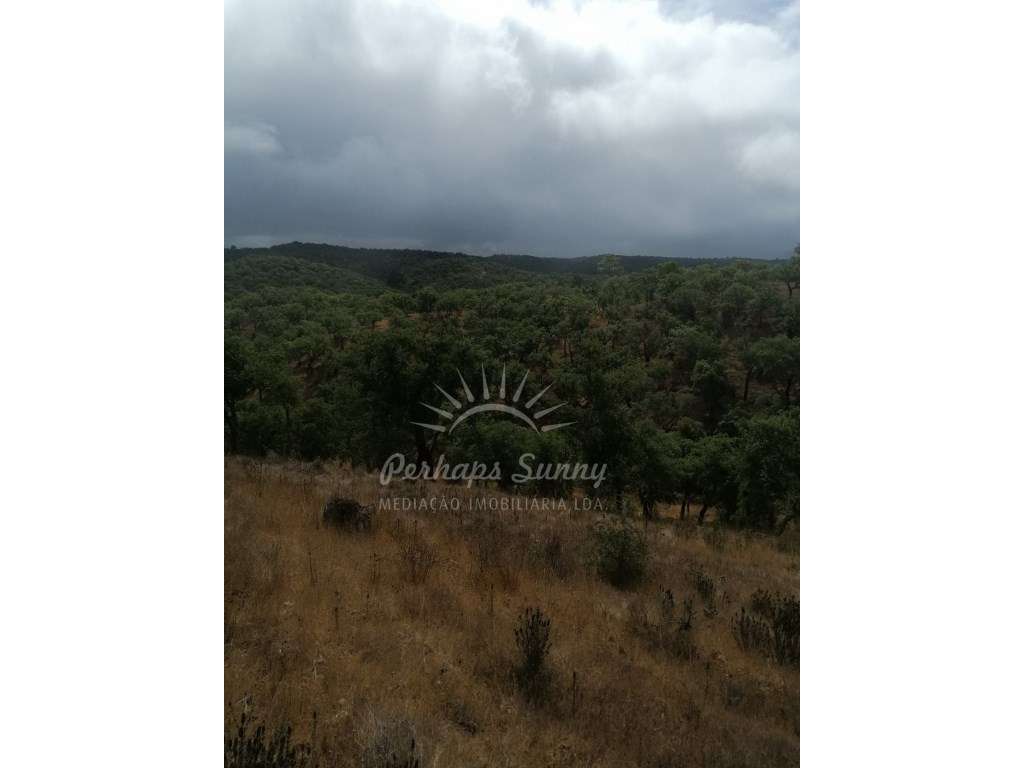 Terreno Rústico - Grande imagem: 5/8