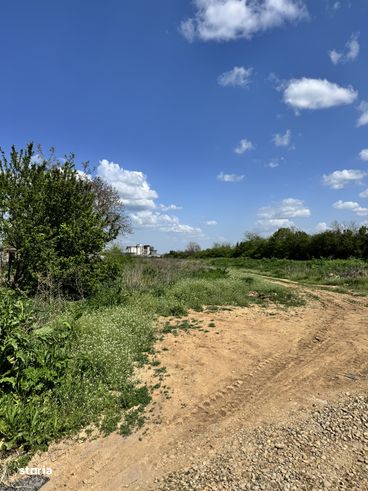 De Vânzare Teren in Periș, Ilfov-4