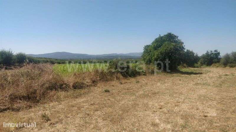 Terreno Rústico / Fundão, Capinha - Grande imagem: 3/5