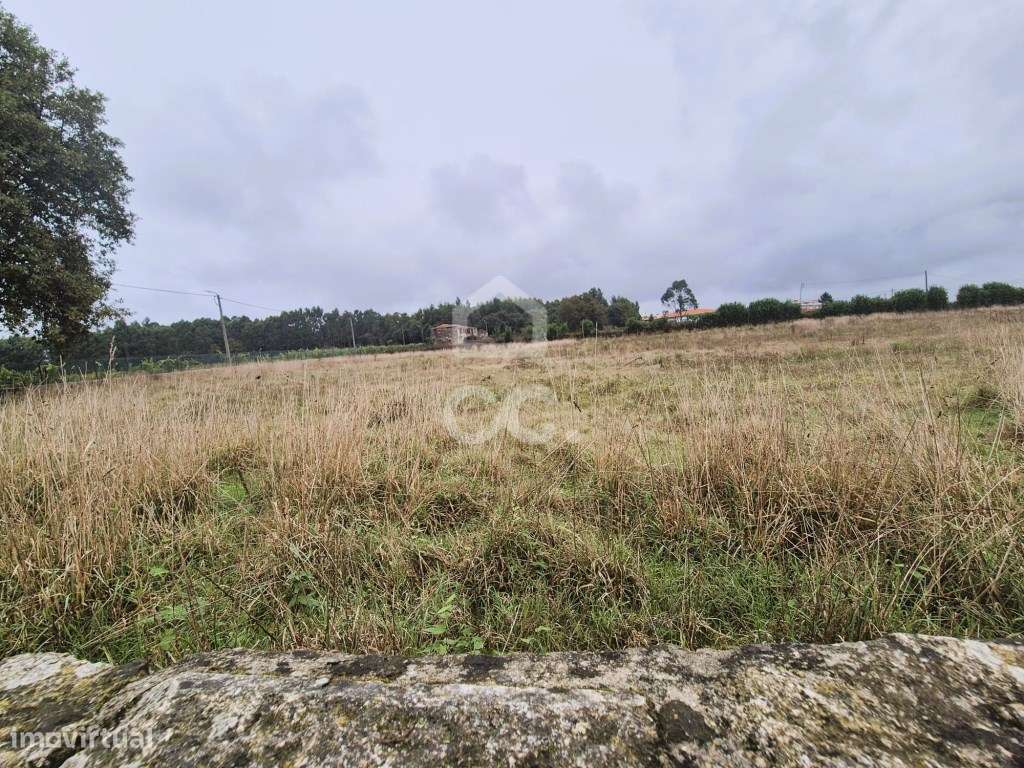 Terreno Agrícola na Lama - Grande imagem: 3/9