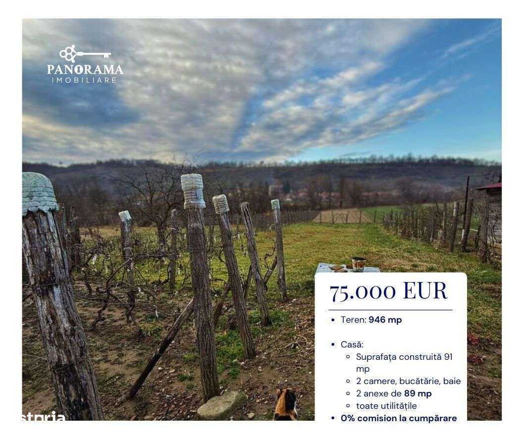 Casă de vânzare în Laslea-gospodărie autentică în inima Transilvaniei - Imagine principală: 2/14