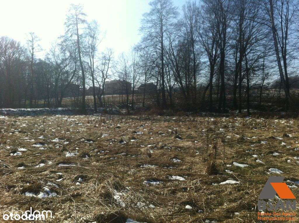 Działka 80 Arów Z Pozwoleniem Na Budowę - Pełny obrazek: 5/7
