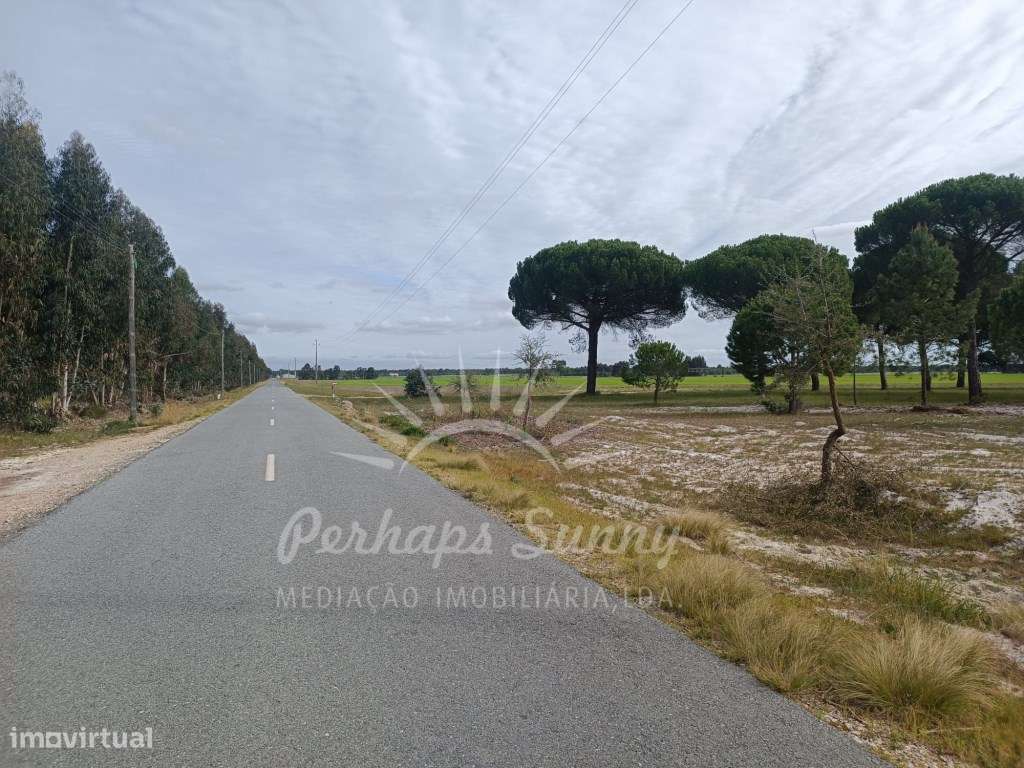 Herdade Bicas - Comporta-5