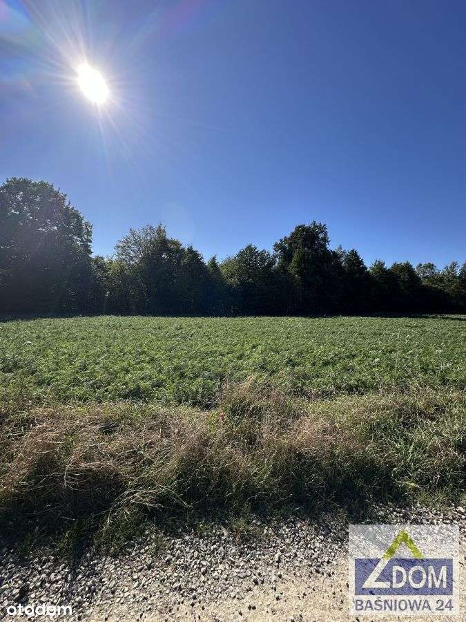 2 działki pod Lublinem-3