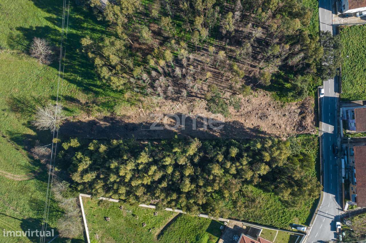 Terreno Rústico com 1490m2-12