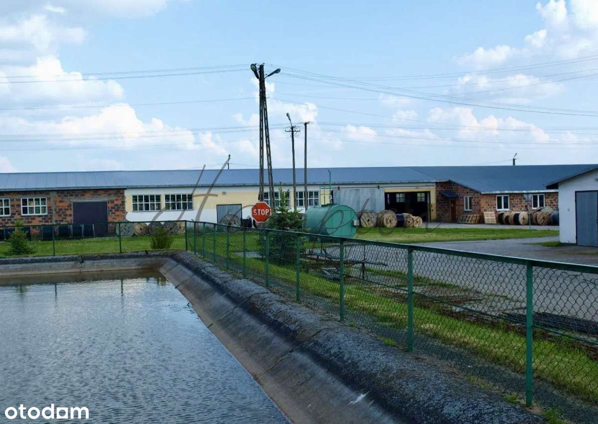 Hale z magazynami, linią produkcyjną-4