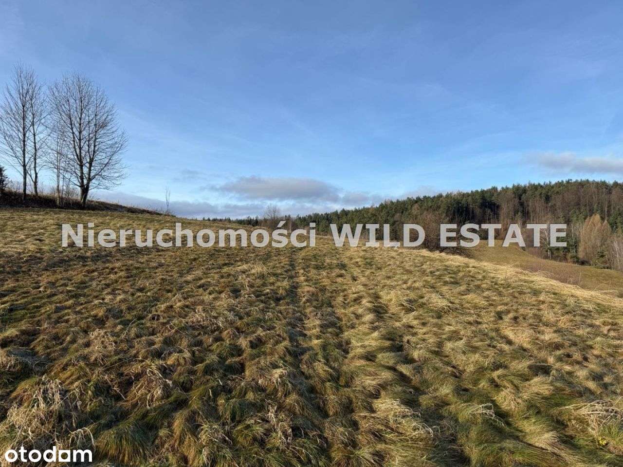 Działka, 3 402 m², Berezka-6