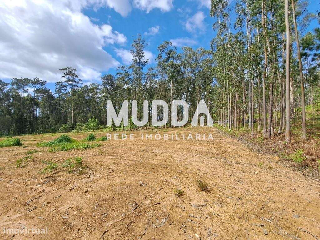 Terreno Rústico com Potencial Agrícola e Turístico – Preço Reduzido - Grande imagem: 5/15