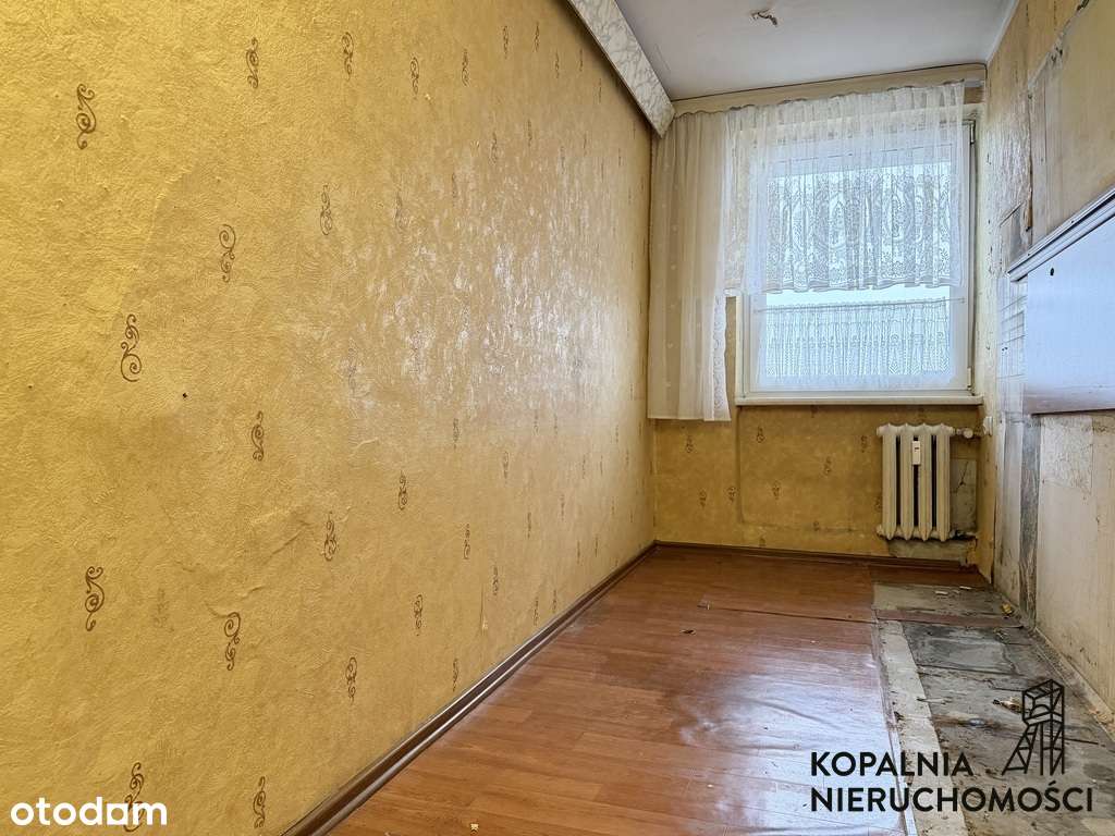 2 Pokoje | Garderoba | Wejście do Parku Śląskiego - Pełny obrazek: 5/8