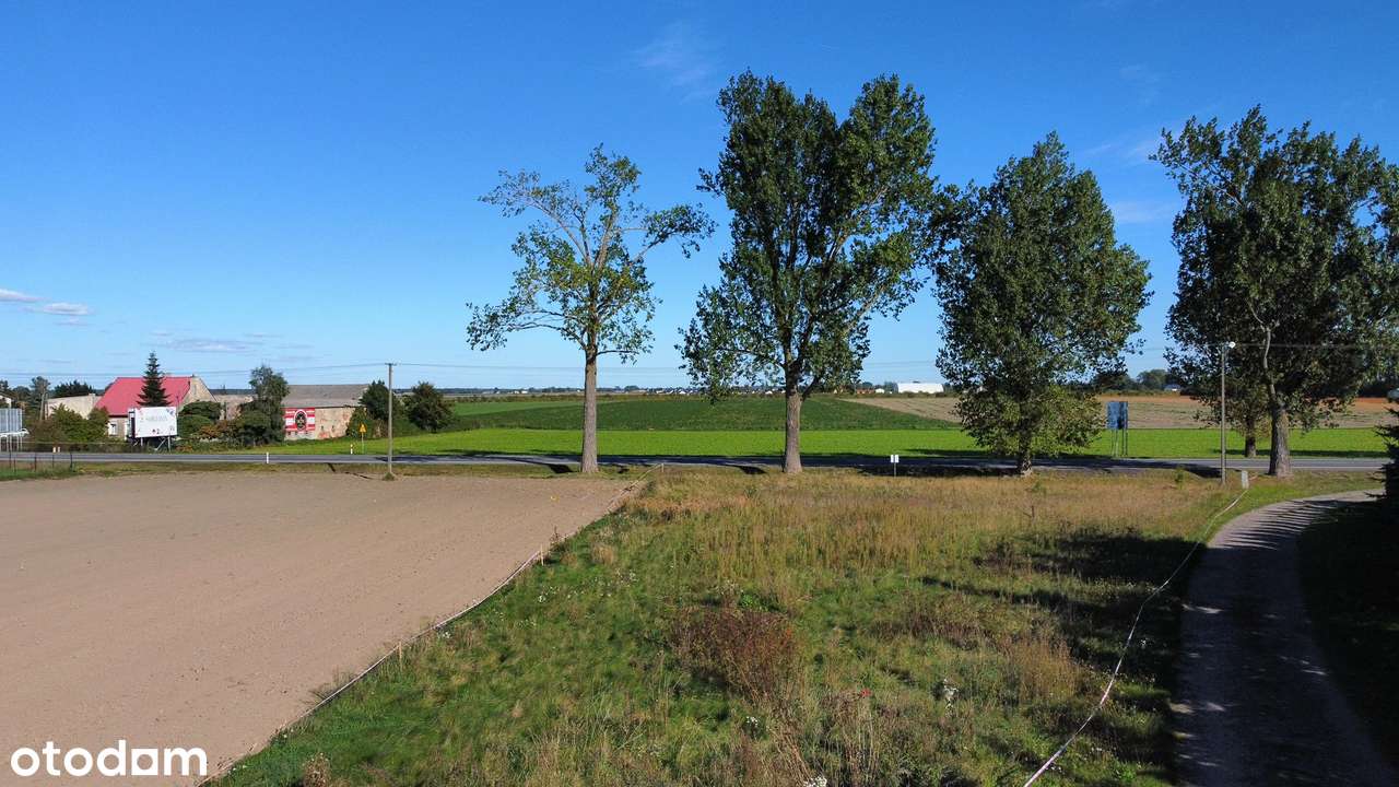 Goślinowo działka budowlana 1415m2 - Pełny obrazek: 5/9